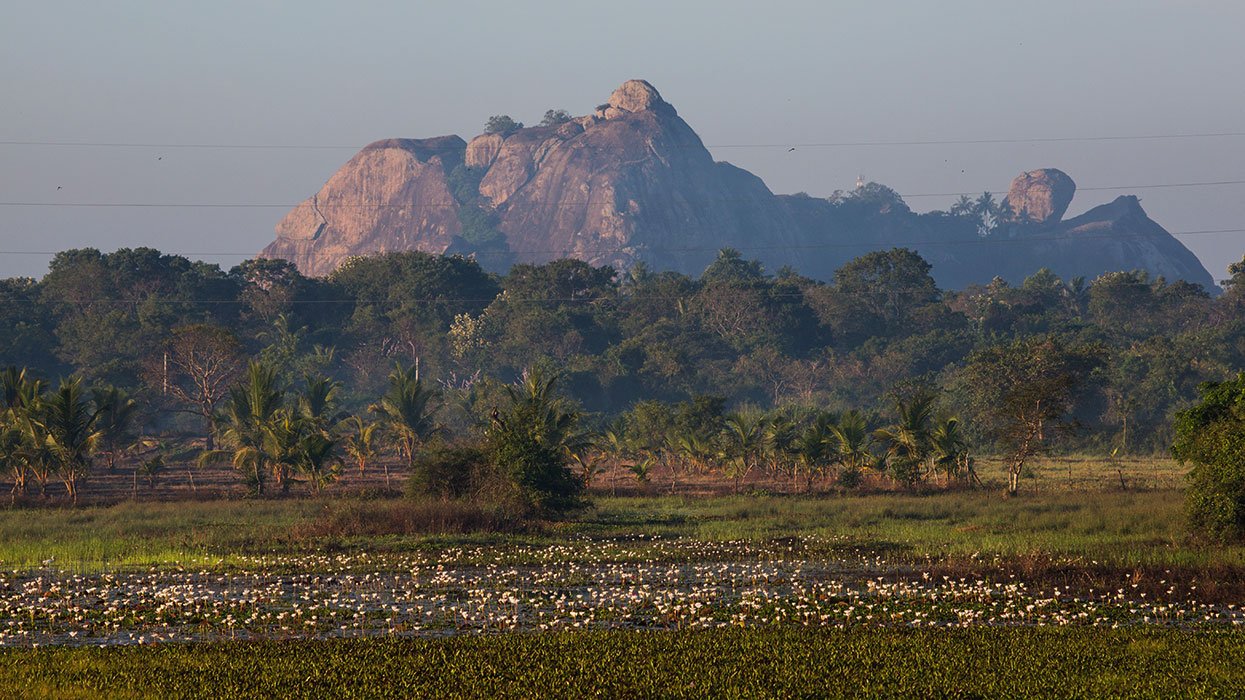 Tour image