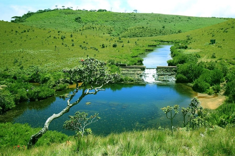 Tour image